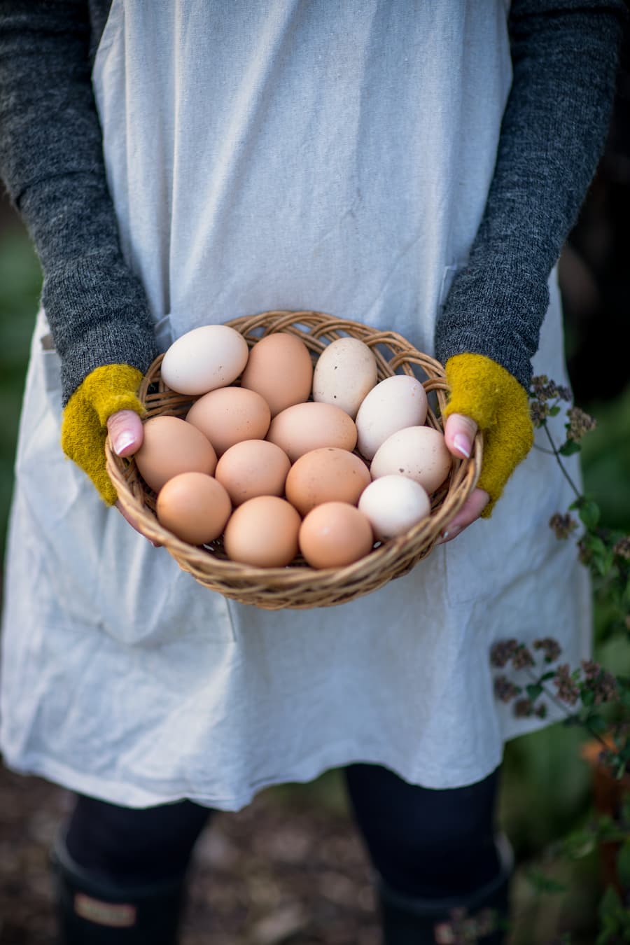 Woman holding a basket of freshly laid free range eggs