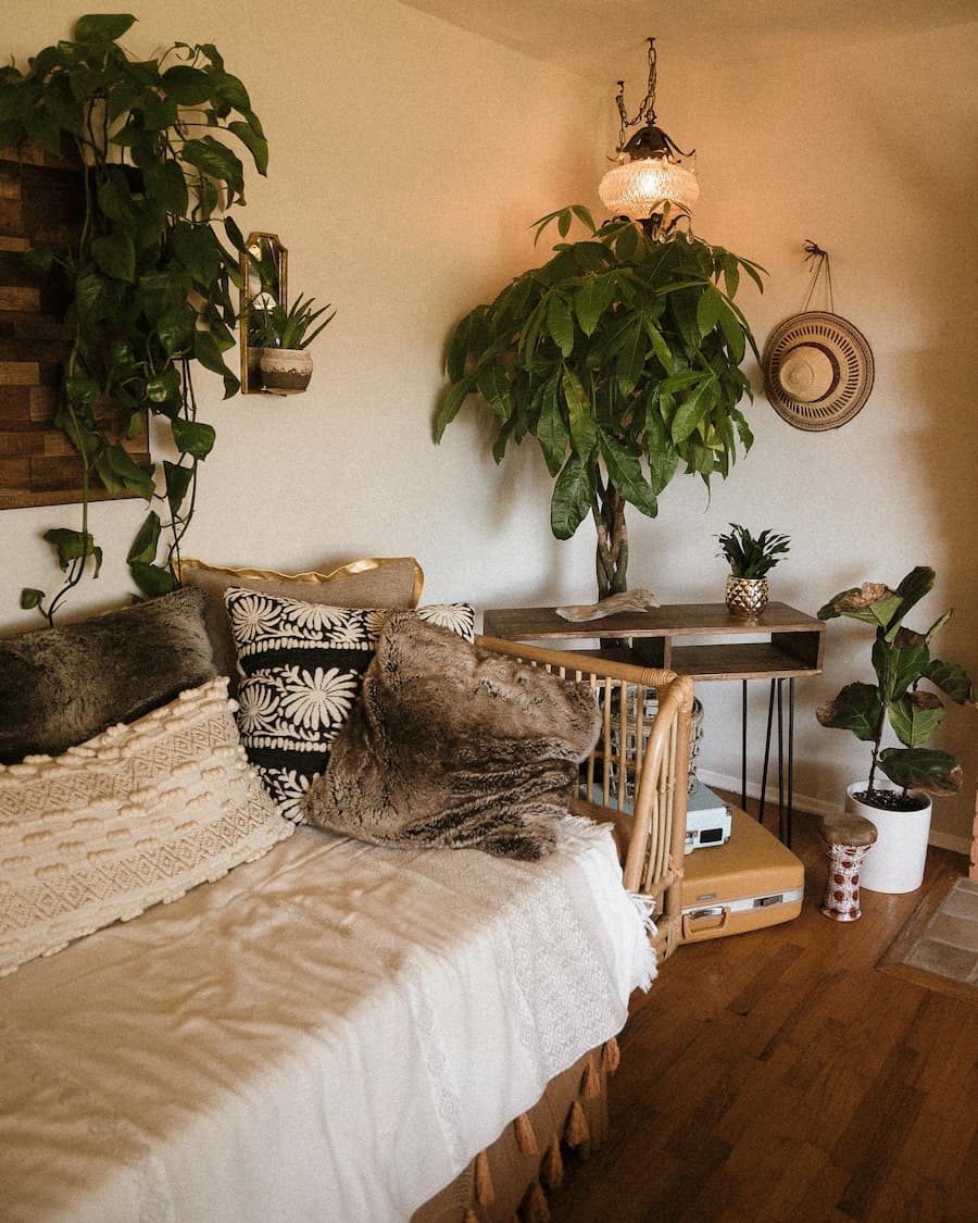 cosy living room with bamboo sofa and lots of plants