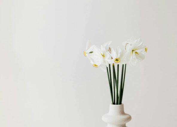 spring cleaning tips white ribbed vase with delicate white daffodils placed on a white table and white background